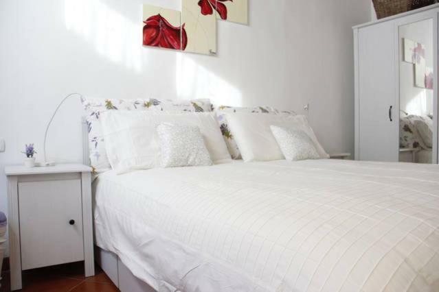 Art Apartment Santa Maria フィレンツェ エクステリア 写真